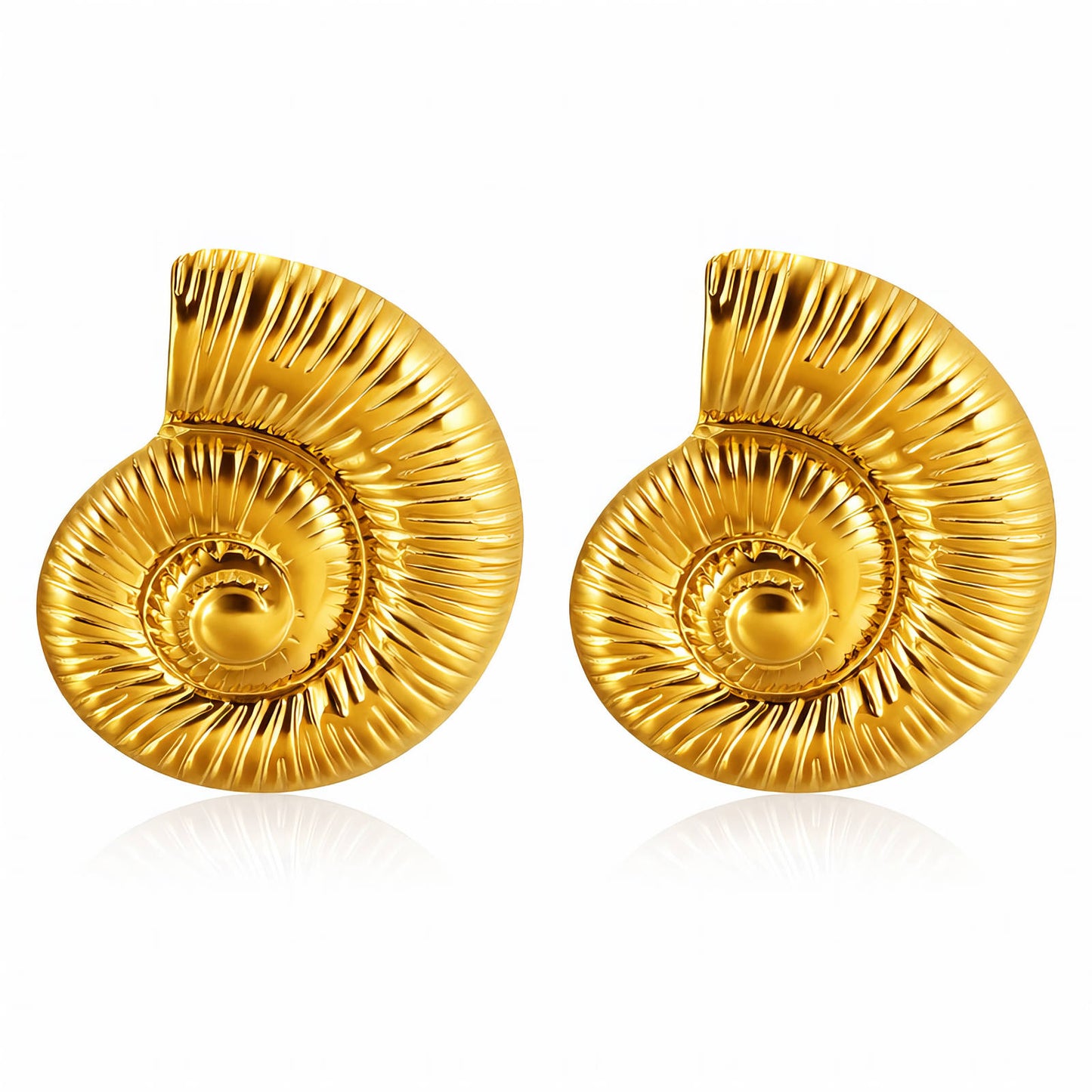 Nautilus